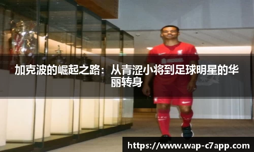 c7c7app官方网站